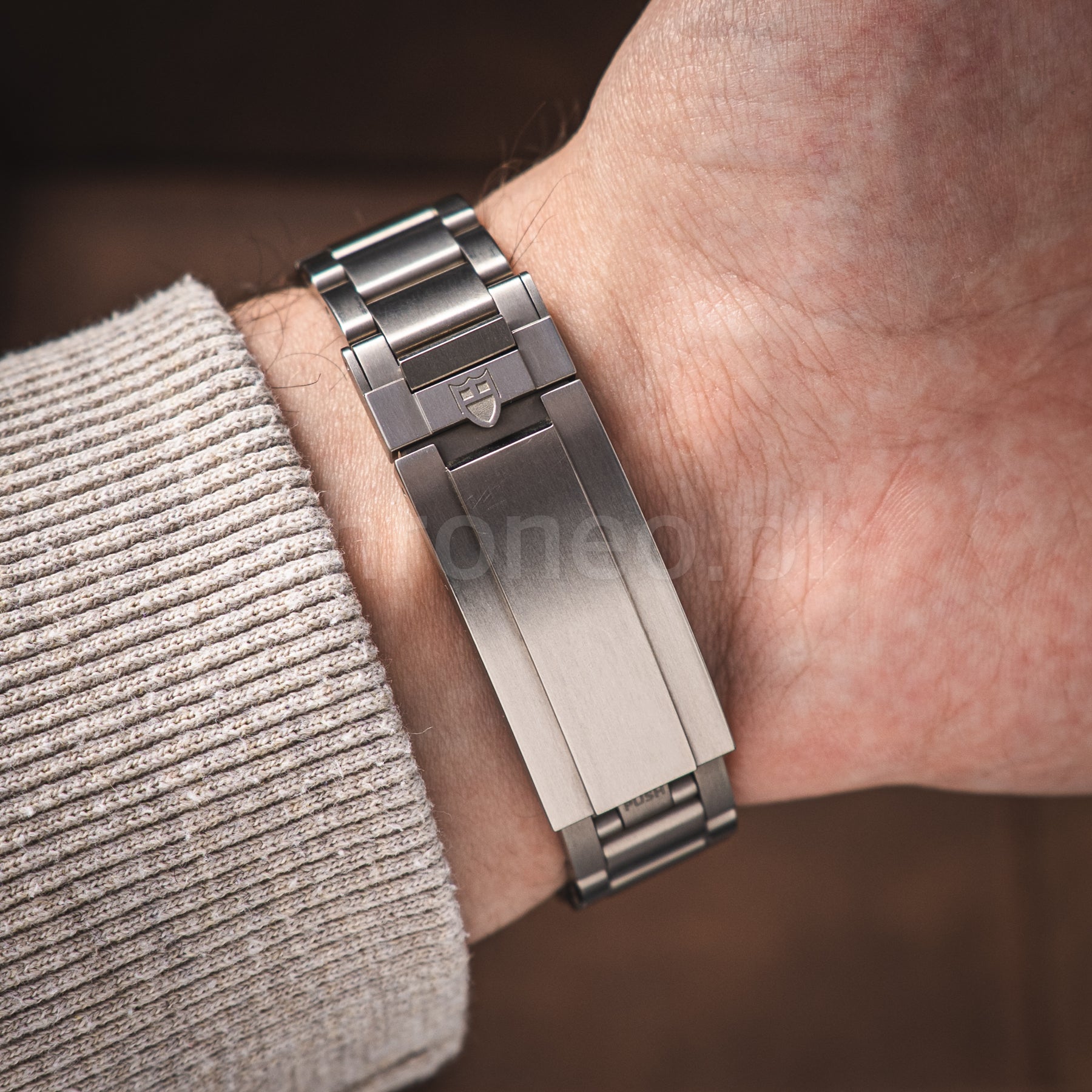 Tudor Pelagos 39 25407N