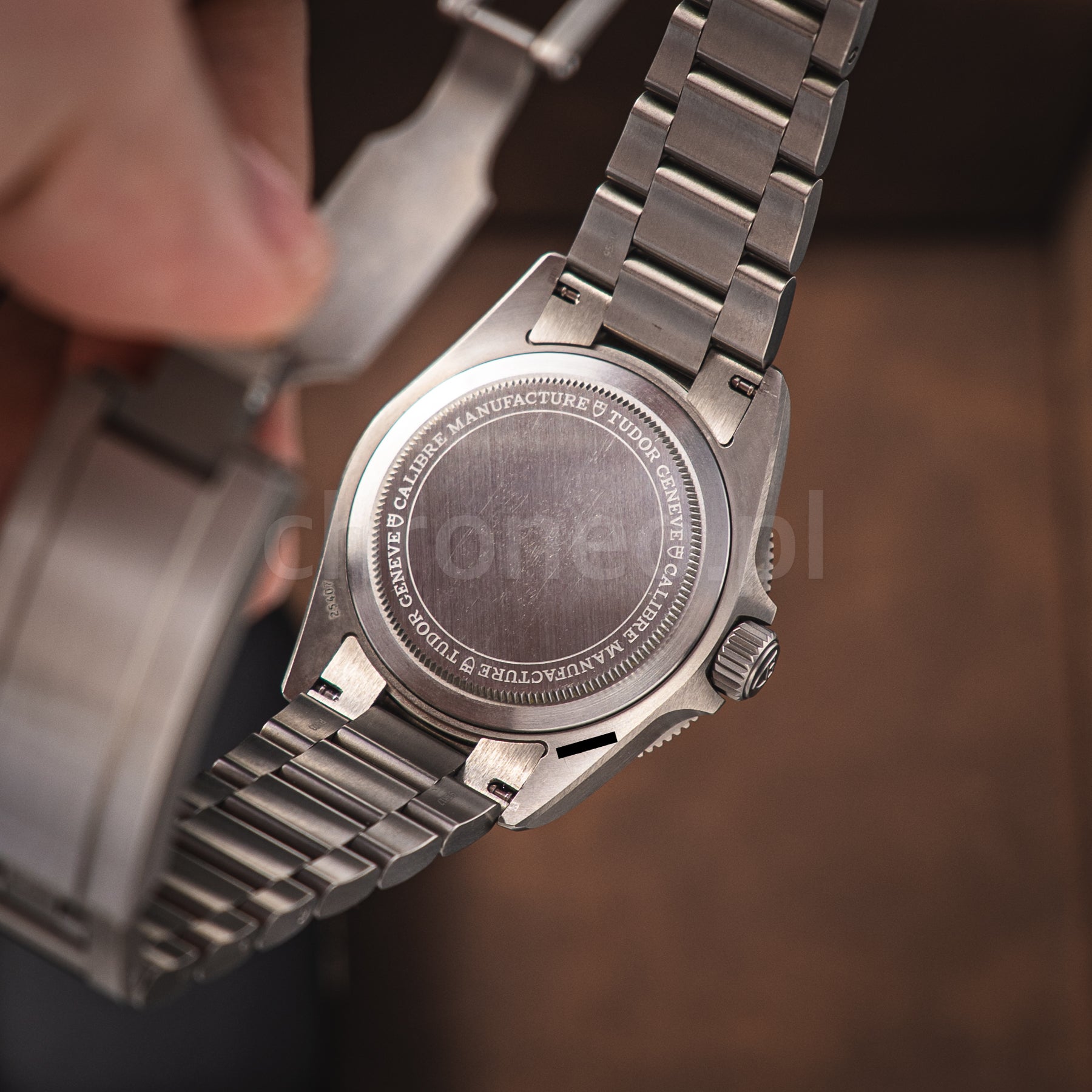 Tudor Pelagos 39 25407N