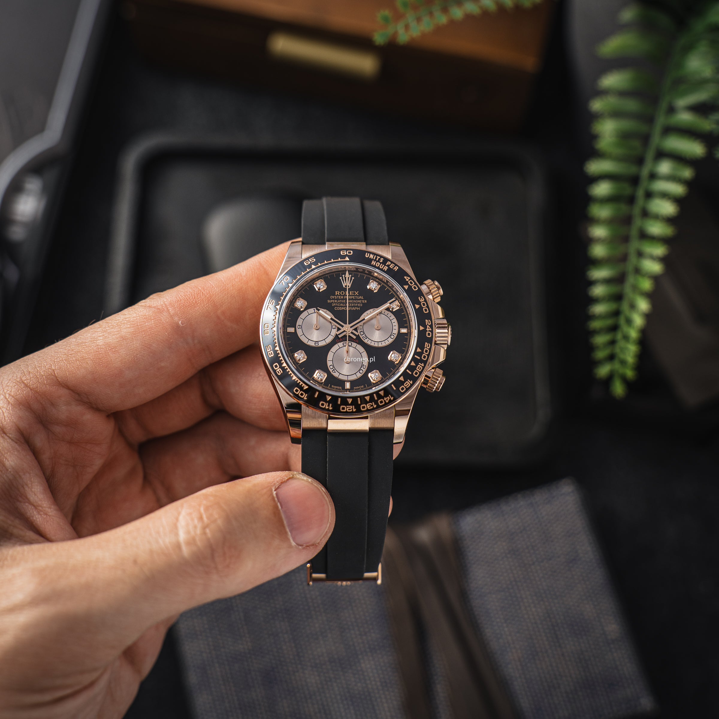 Rolex Cosmograph Daytona 40 mm ref. 126515LN Everose gold 2024