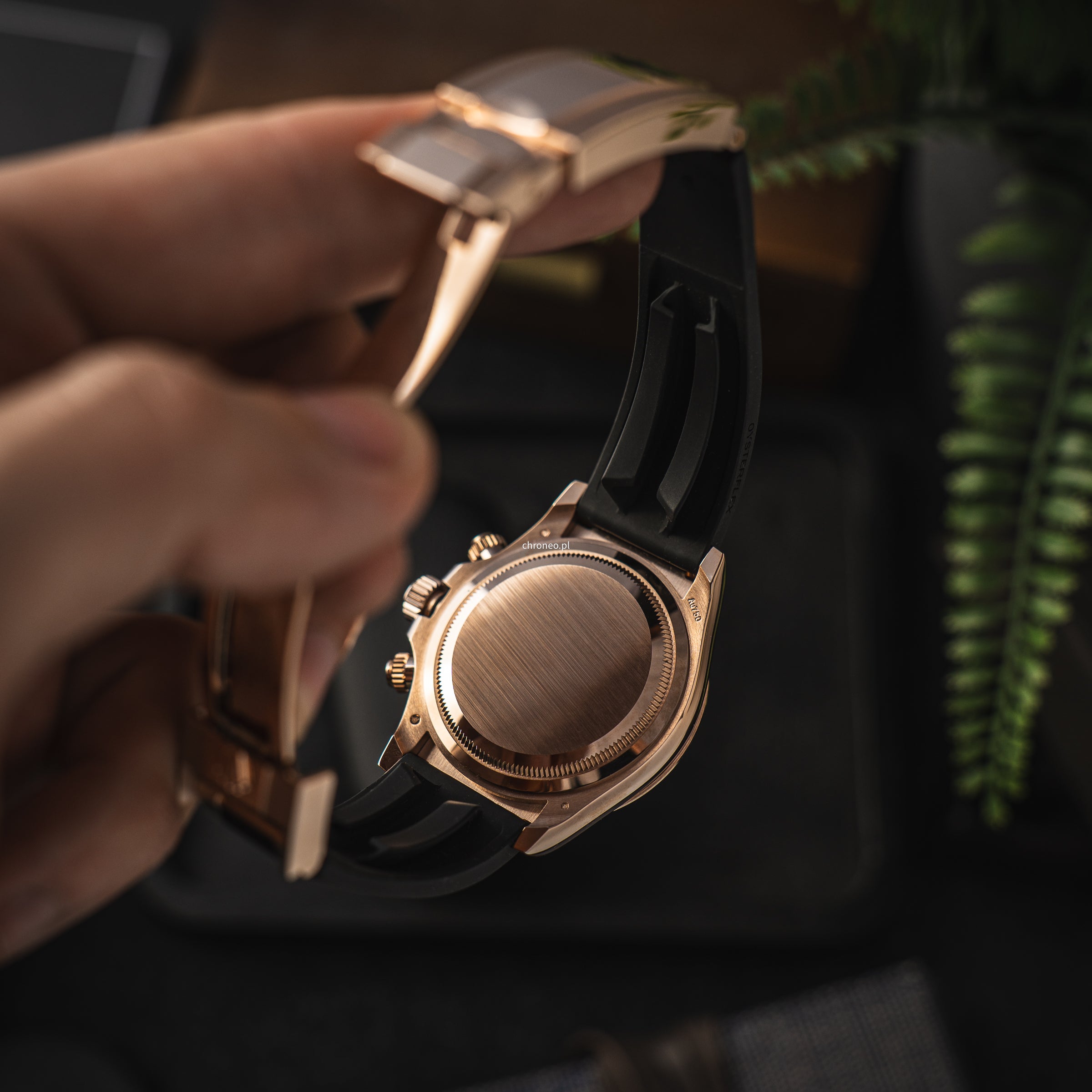 Rolex Cosmograph Daytona 40 mm ref. 126515LN Everose gold 2024