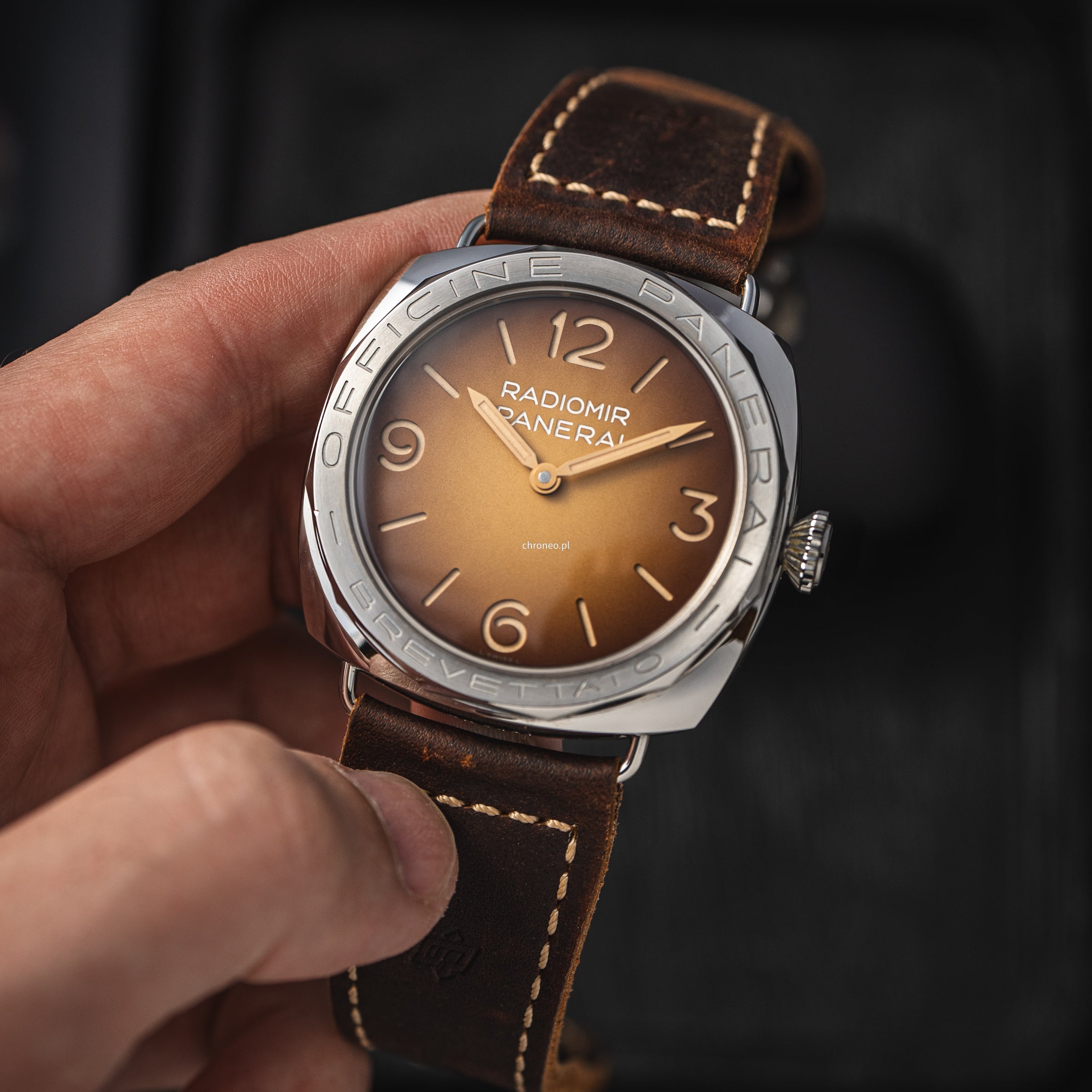 Panerai Radiomir 3 Days 47mm ref. PAM00687 Special Editions