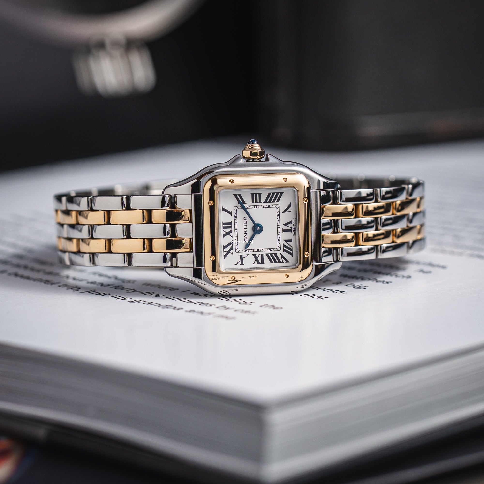 Cartier Panthère Cartier ref. W2PN0018