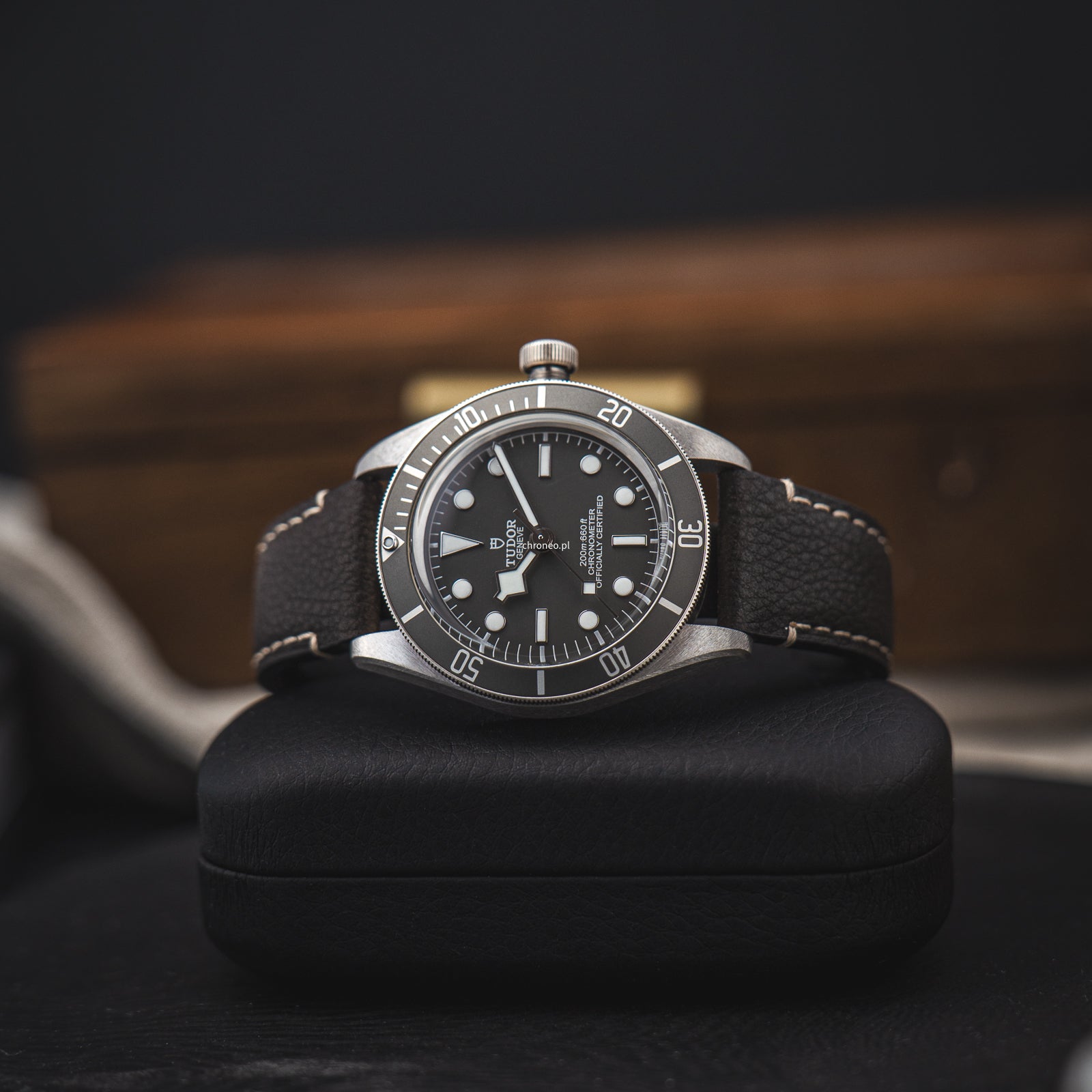 Tudor Black Bay Fifty-Eight ref. 79010SG
