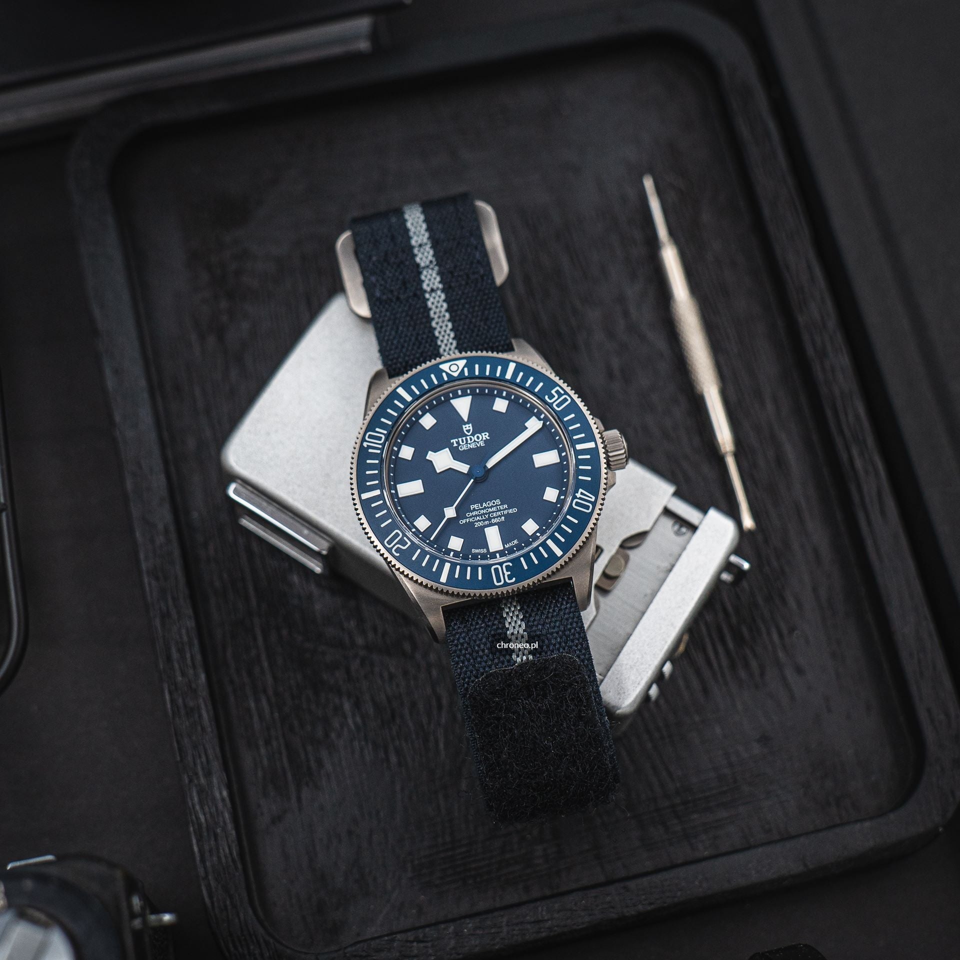 Tudor Pelagos FXD ref. 25707B/23