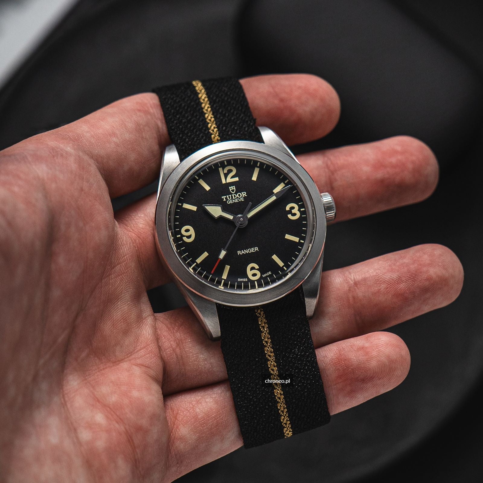 Tudor Ranger ref. 79950-0003