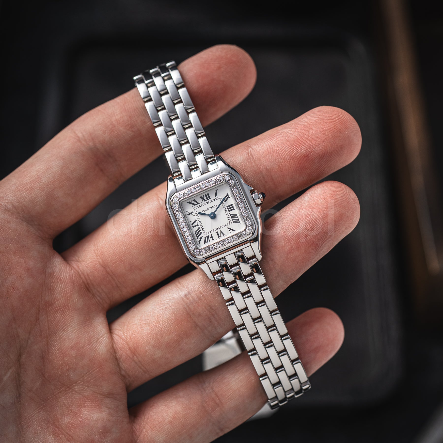 Cartier Panthère De Cartier Small W4PN0016
