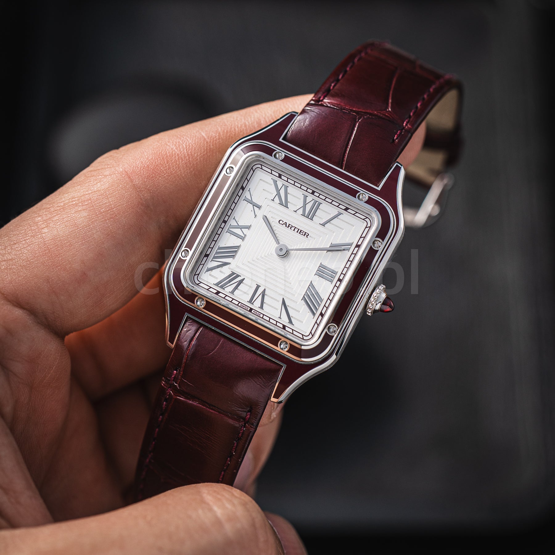 Cartier Santos Dumont Large Platinum WGSA0053