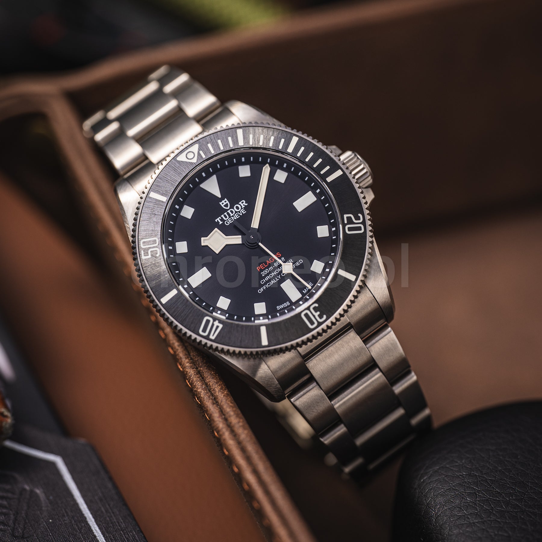 Tudor Pelagos 39 25407N