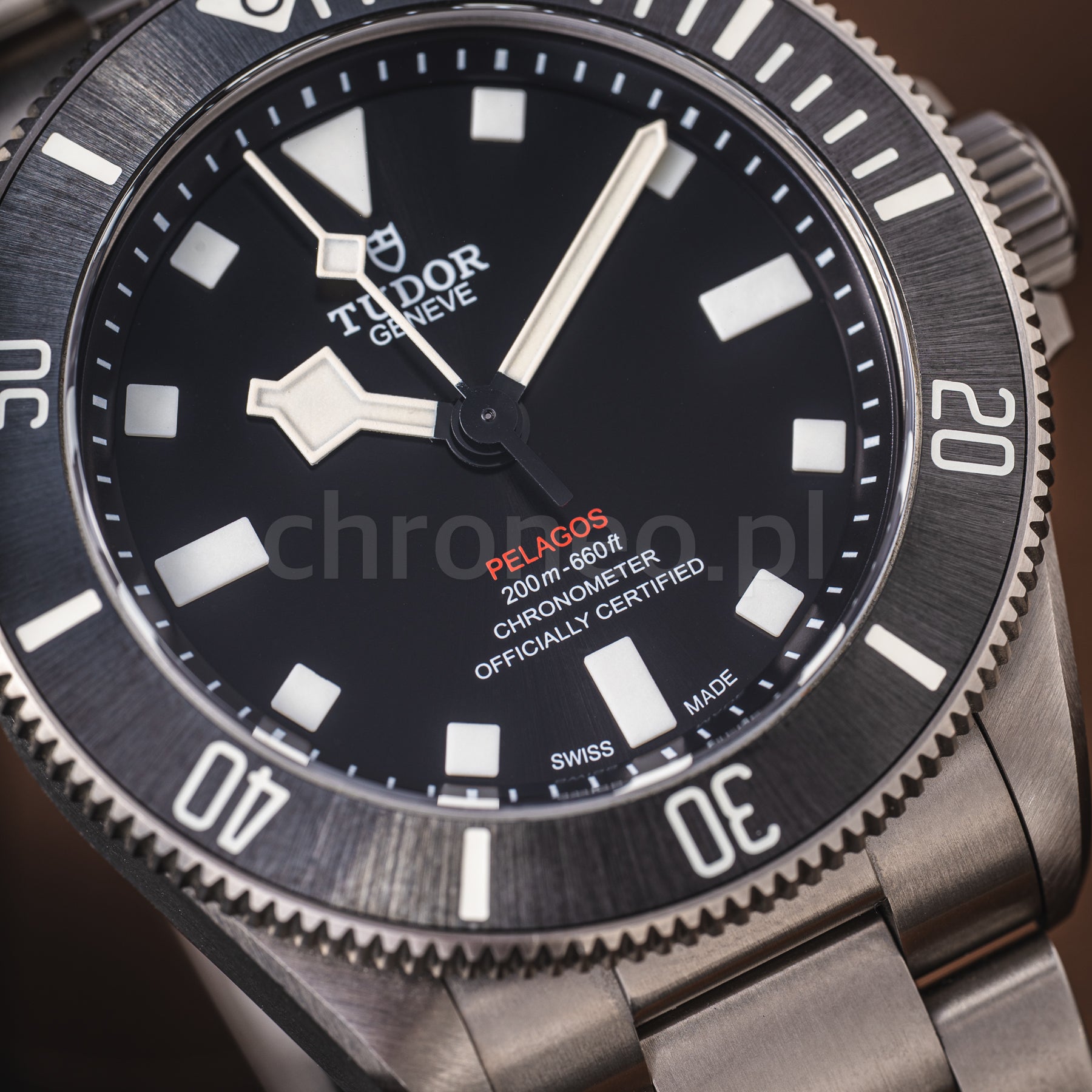 Tudor Pelagos 39 25407N