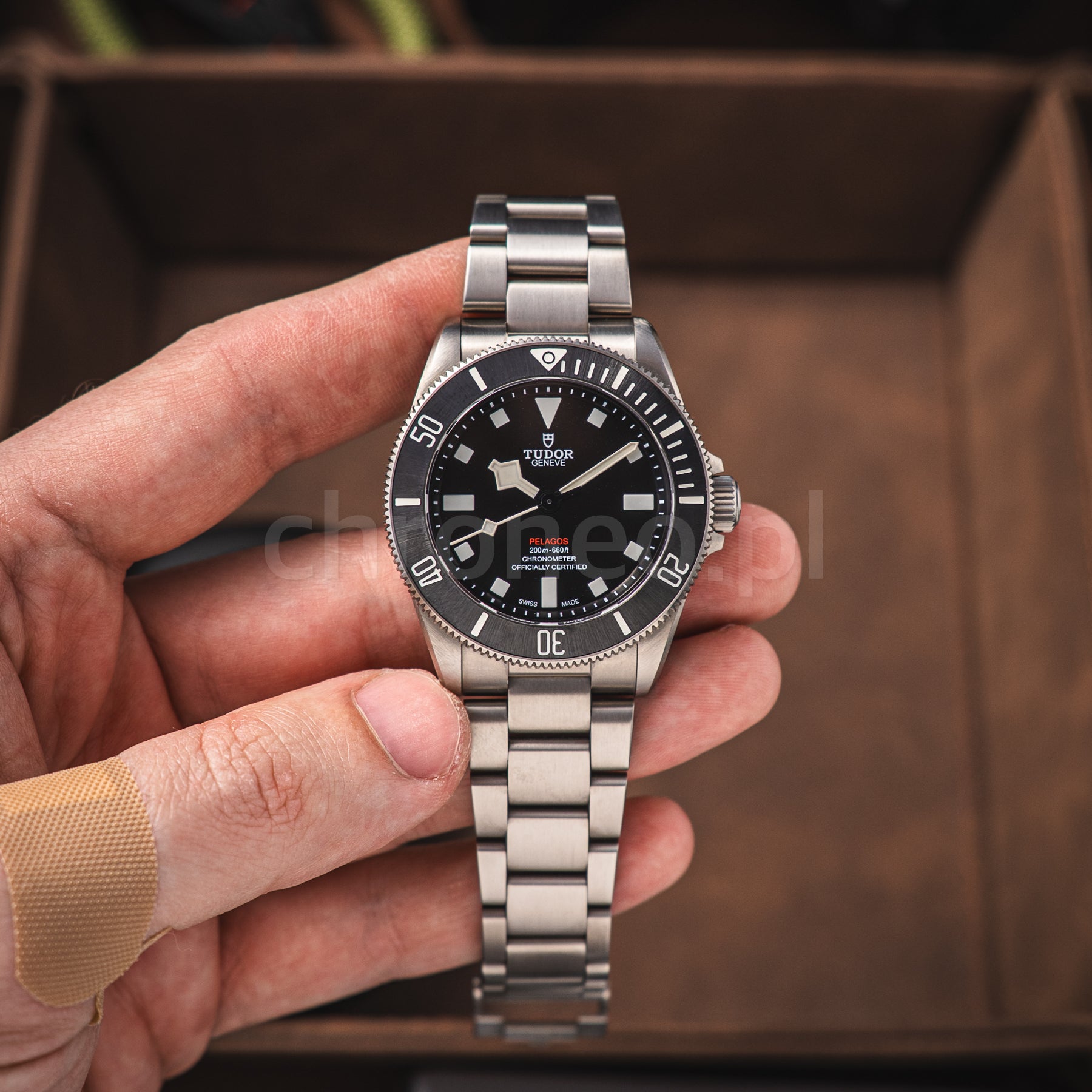 Tudor Pelagos 39 25407N