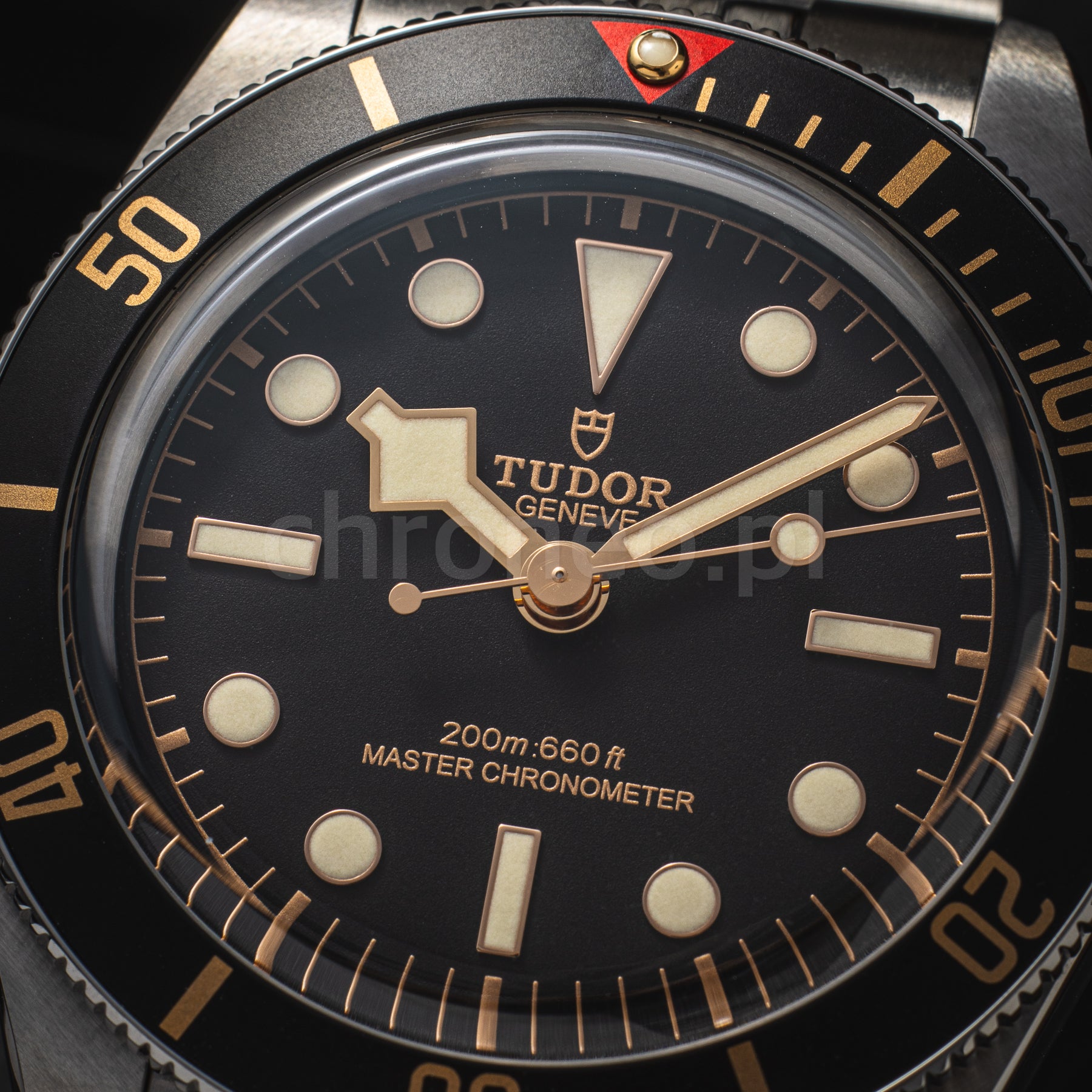 Tudor Black Bay 58 M7939A1A0NU-0001