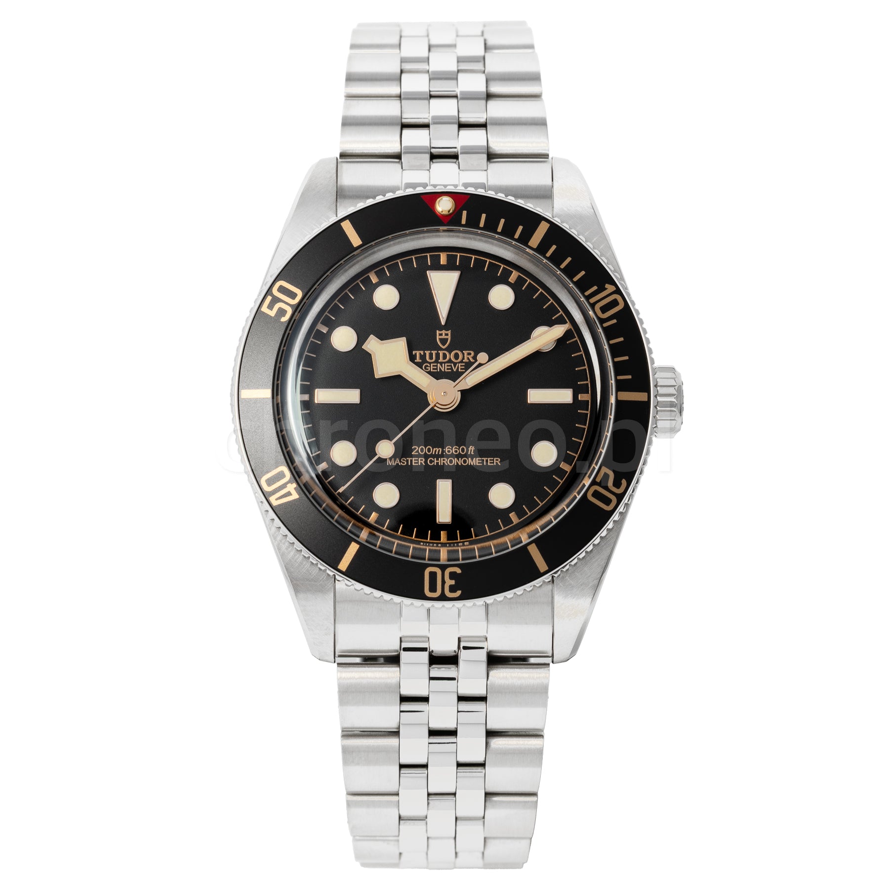 Tudor Black Bay 58 M7939A1A0NU-0001