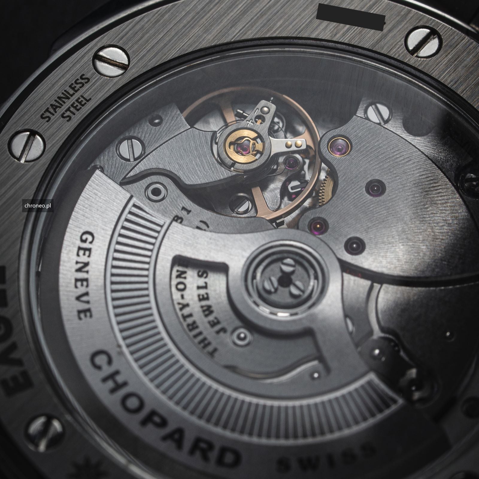 Chopard Alpine Eagle 298600-3001