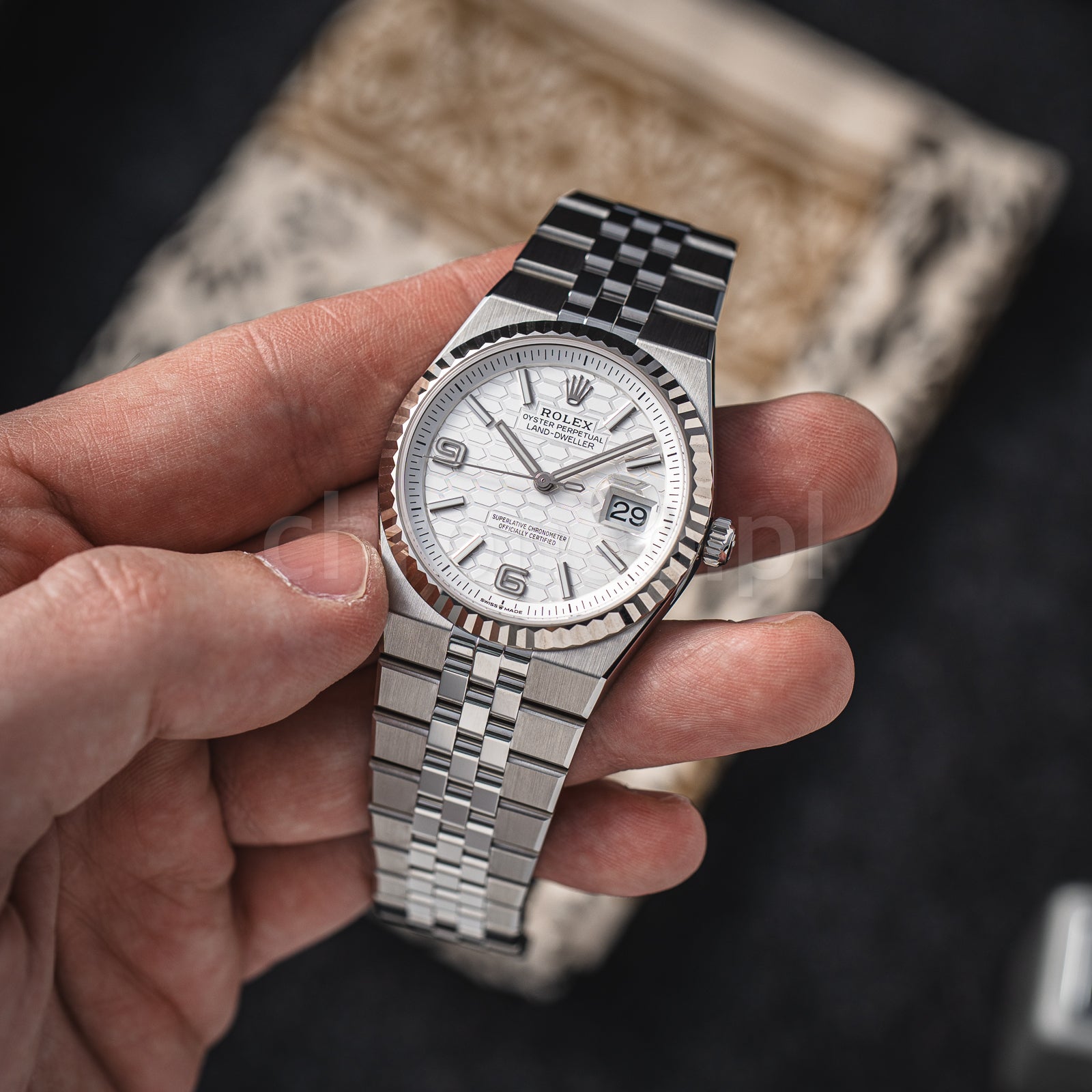 Rolex Land-Dweller 36 127234