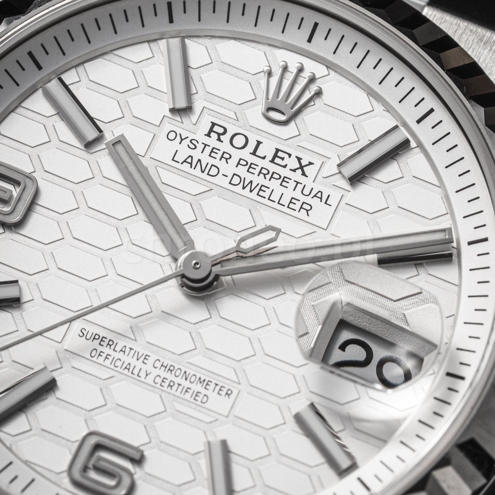 Rolex Land-Dweller 36 127234