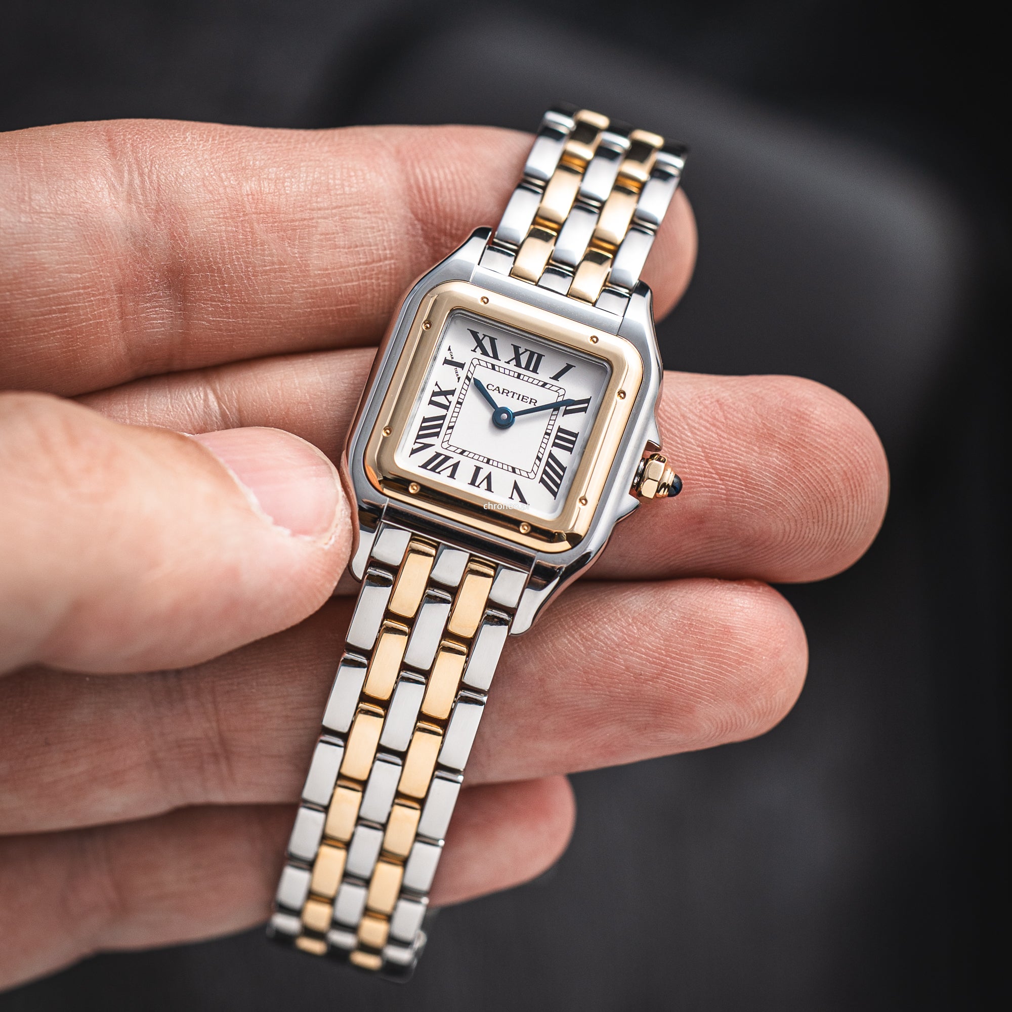 Cartier Panthère Cartier ref. W2PN0018
