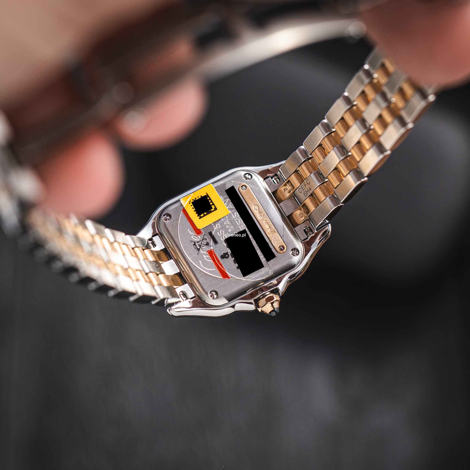 Cartier Panthère Cartier ref. W2PN0018