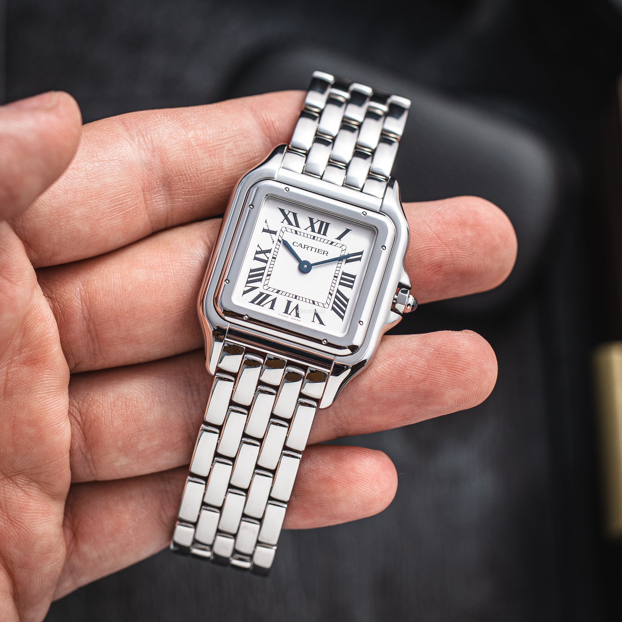 Cartier Panthère De Cartier Large WSPN0011