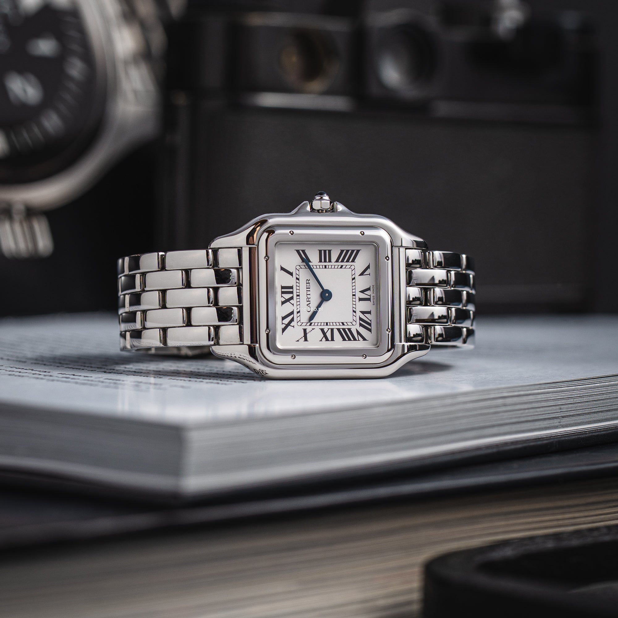 Cartier Panthère De Cartier Large WSPN0011
