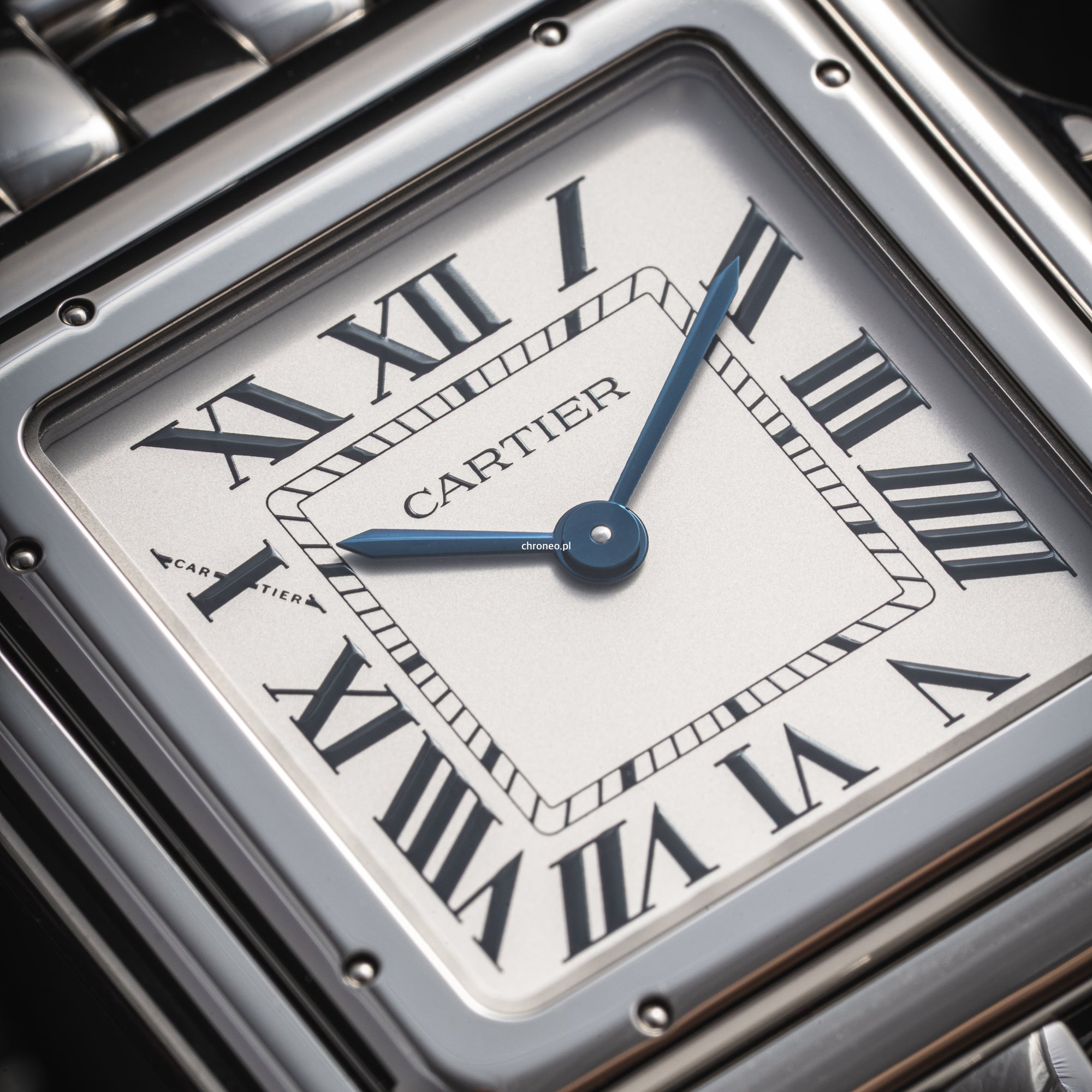 Cartier Panthère De Cartier Large WSPN0011
