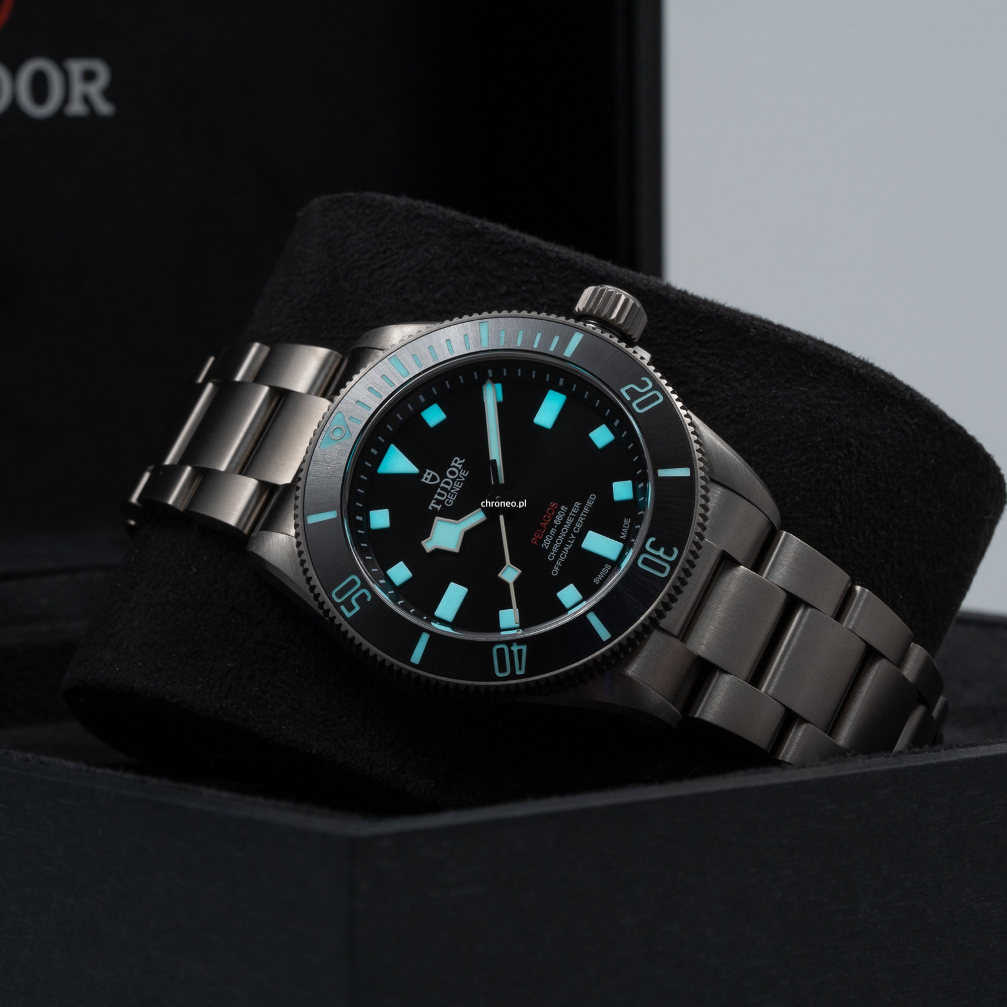 Tudor Pelagos 39 25407N