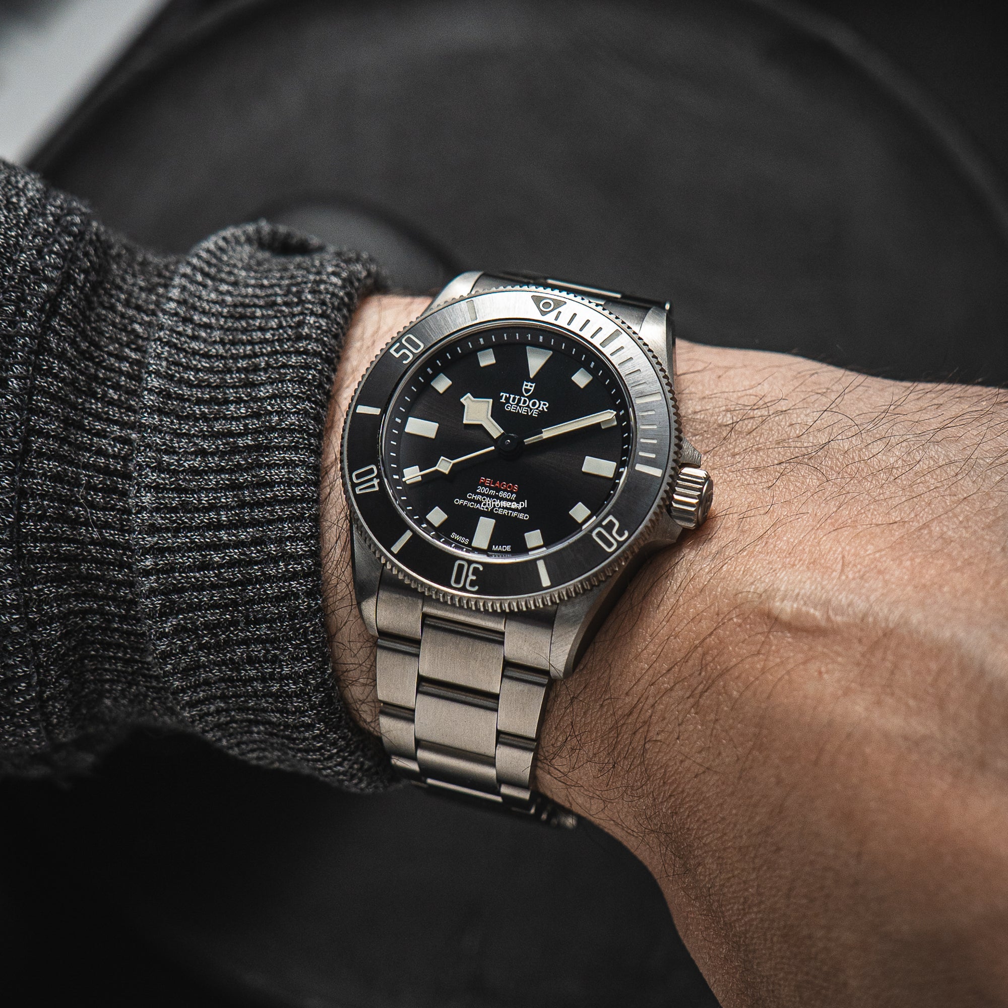 Tudor Pelagos 39 25407N