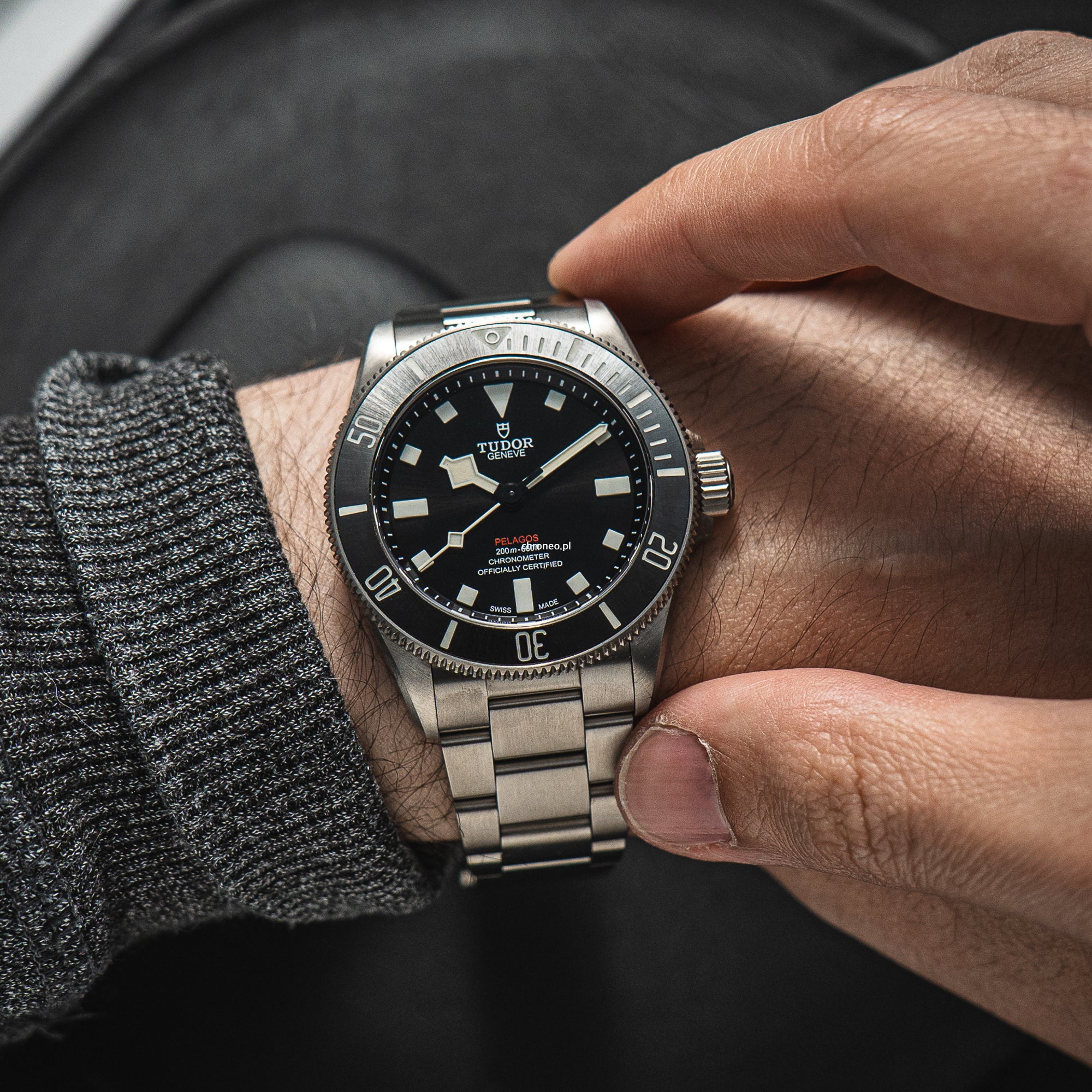 Tudor Pelagos 39 25407N