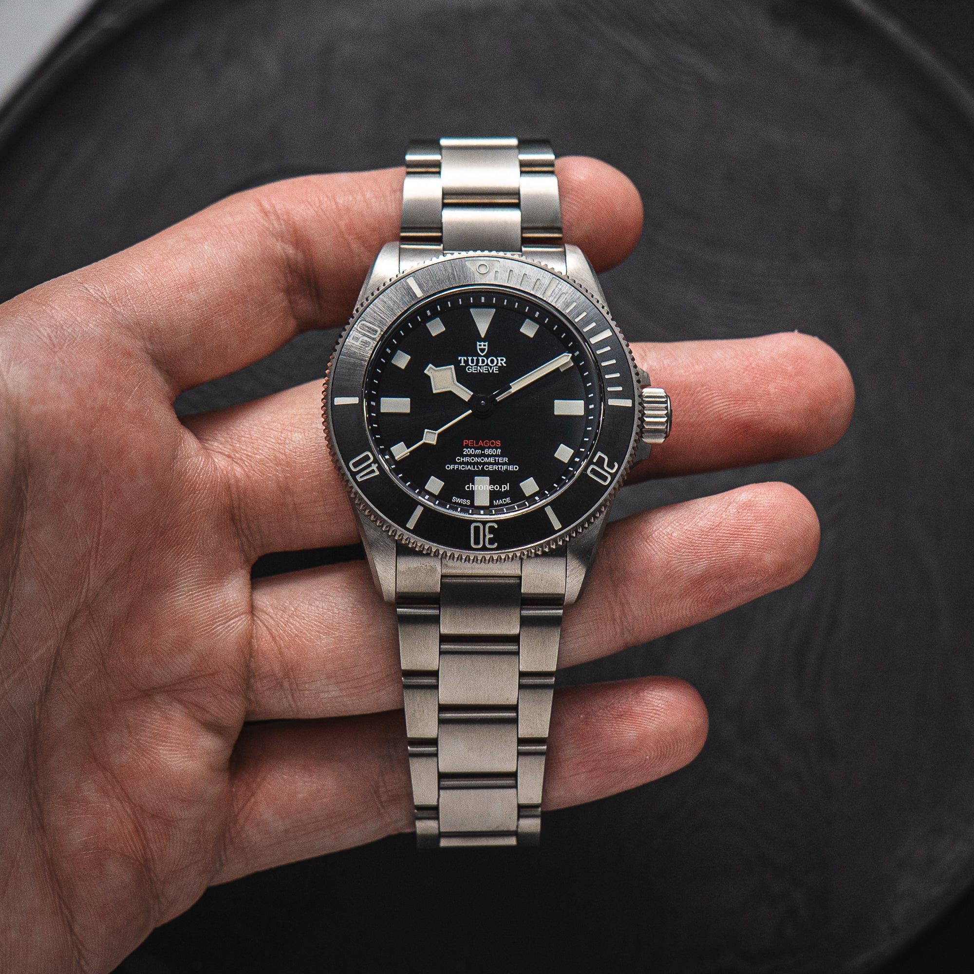 Tudor Pelagos 39 25407N