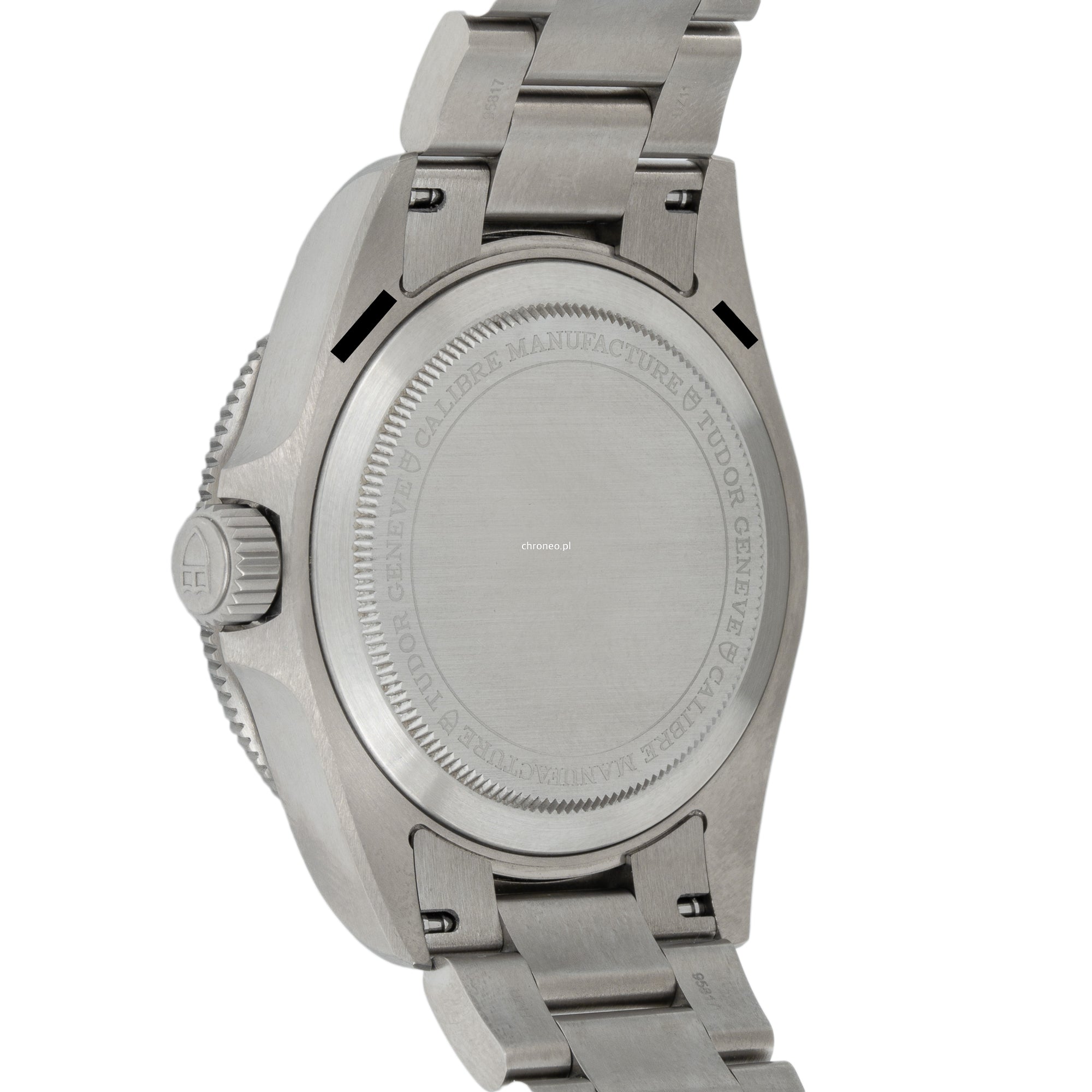 Tudor Pelagos 39 25407N