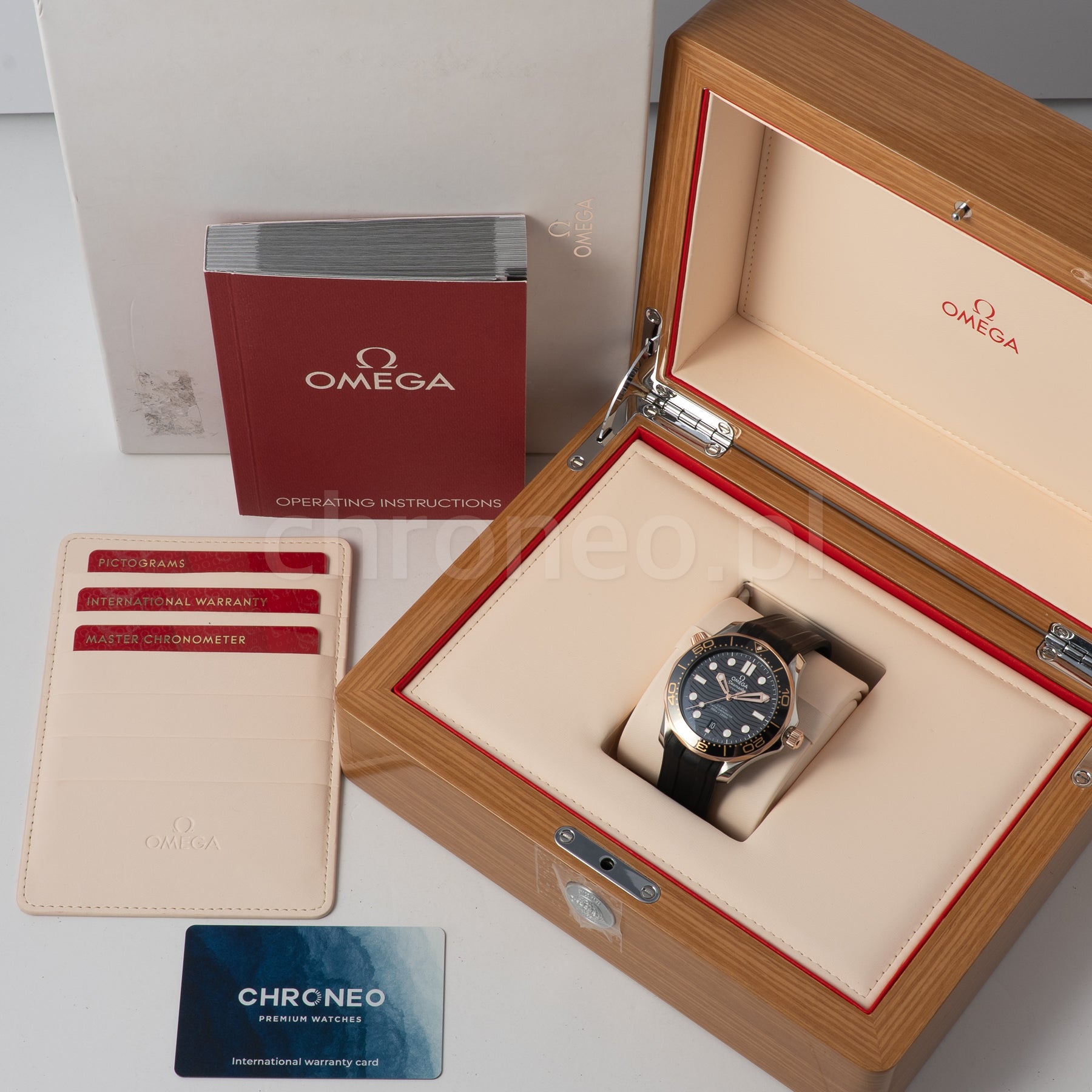 Omega Seamaster Diver 300 M ref. 210.22.42.20.01.002