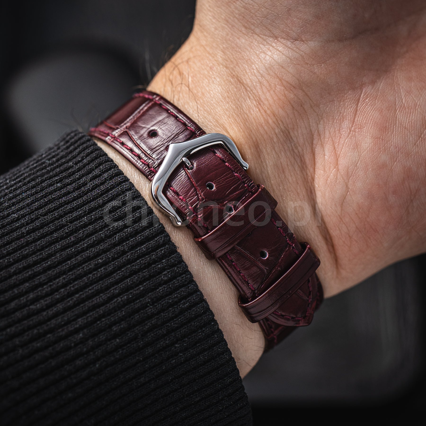 Cartier Santos Dumont Large Platinum WGSA0053